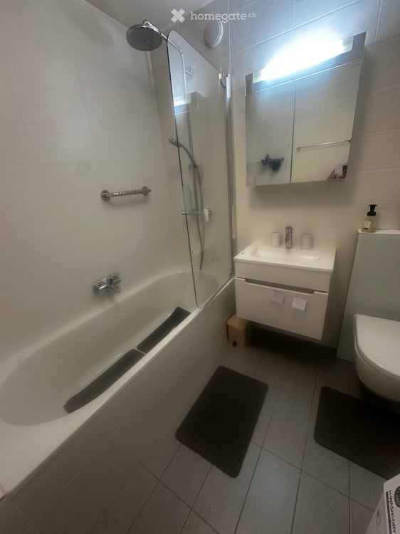 Appartement 3.5 pièces spacieux avec balcon et parkings 3