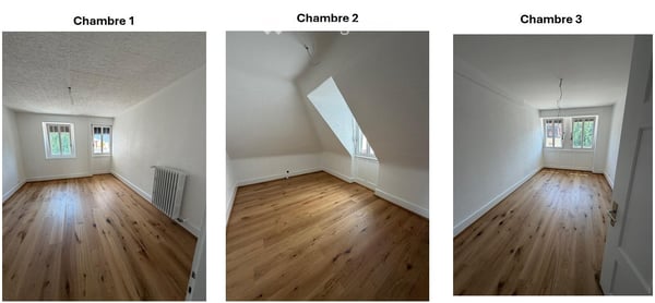 Appartement entièrement rénové et lumineux au cur de Sierre 3