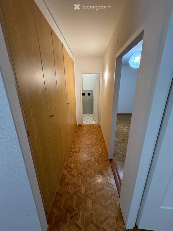 Duplex de 5,5 pièces à La Croix-de-Rozon 7