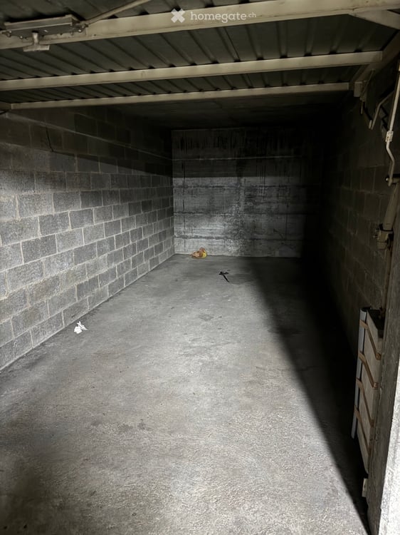 Duplex de 5,5 pièces à La Croix-de-Rozon 9