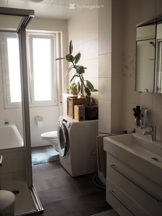 Sous-location 1 an Magnifique 3,5p en attique Lausanne 5