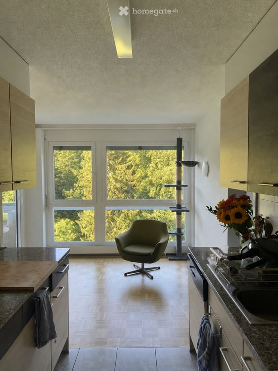 Chambre disponible à Berne du 1er juillet au 31 août 2