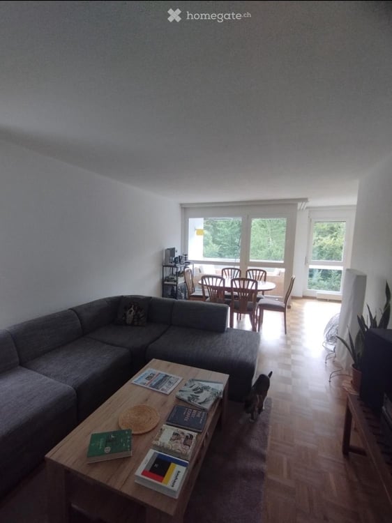 Chambre disponible à Berne du 1er juillet au 31 août 4