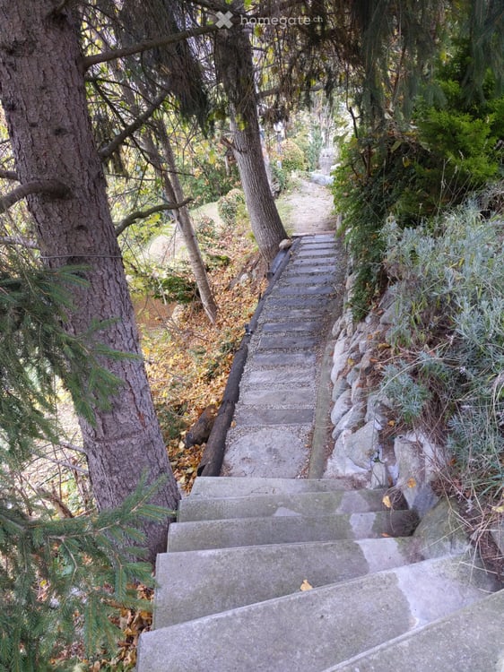 a vendre petit chalet au val d herens 5