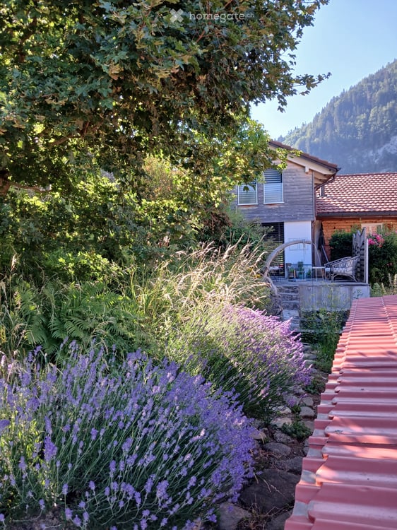 Charmant Chalet atypique de 5 pièces à Charmey 3