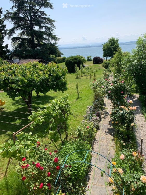 Appartement 3.5 pièces au bord du lac avec jardin privatif 4