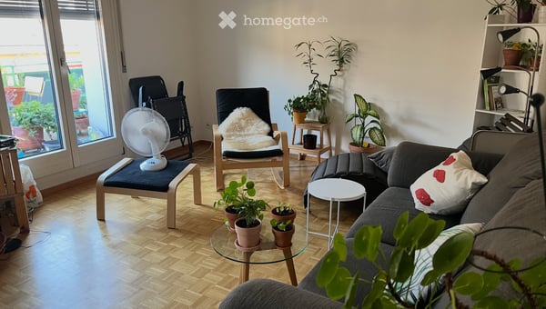 Grande chambre dans magnifique colocation - Terrasse verte 4