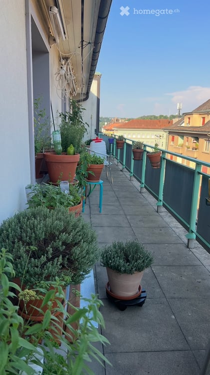 Grande chambre dans magnifique colocation - Terrasse verte 5