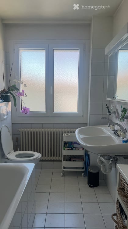 Grande chambre dans magnifique colocation - Terrasse verte 2