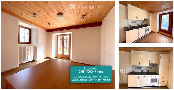 APPARTEMENT 2,5 PCES AVEC TERRASSE ET VUE IMPRENABLE 1