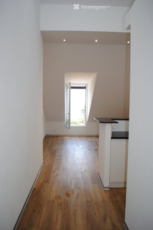 Magnifique appartement avec vue sur le lac et les Alpes 5