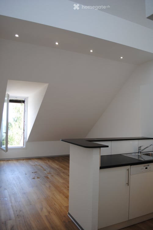 Magnifique appartement avec vue sur le lac et les Alpes 2