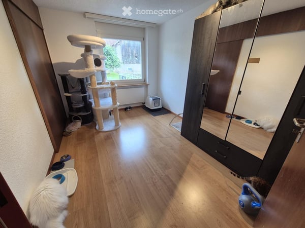 Joli appartement de 4,5 pièce entièrement rénové 5