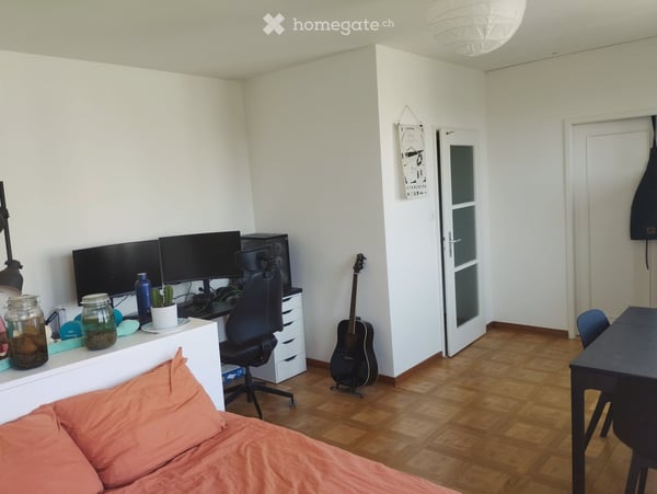 Reprise de bail au 16 août, lumineux appartement de 1,5 P 2