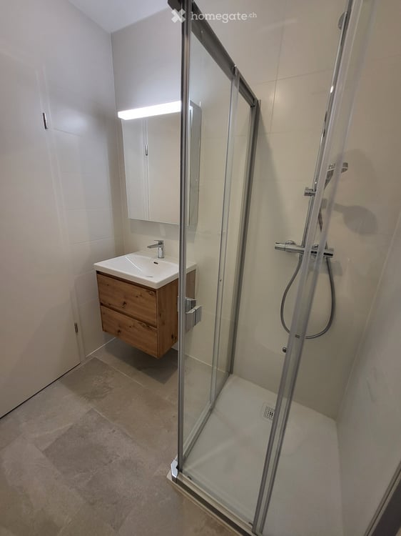 Appartement neuf 2.5 pièces à Ardon 5