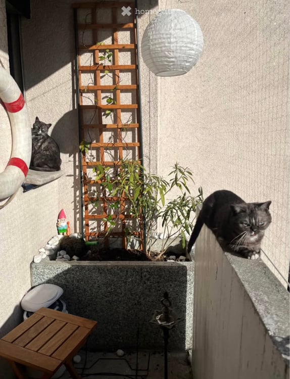 3 pièces traversant aux eaux vives 3