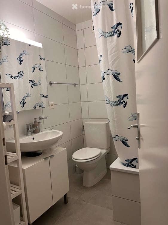 Appartement 3 pièces 3