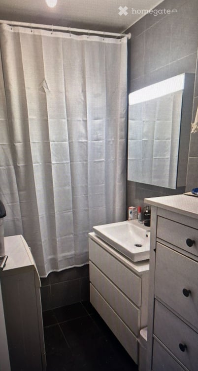 Superbe appartement de 4p à carouge 3