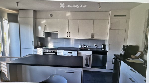Superbe appartement de 4p à carouge 1