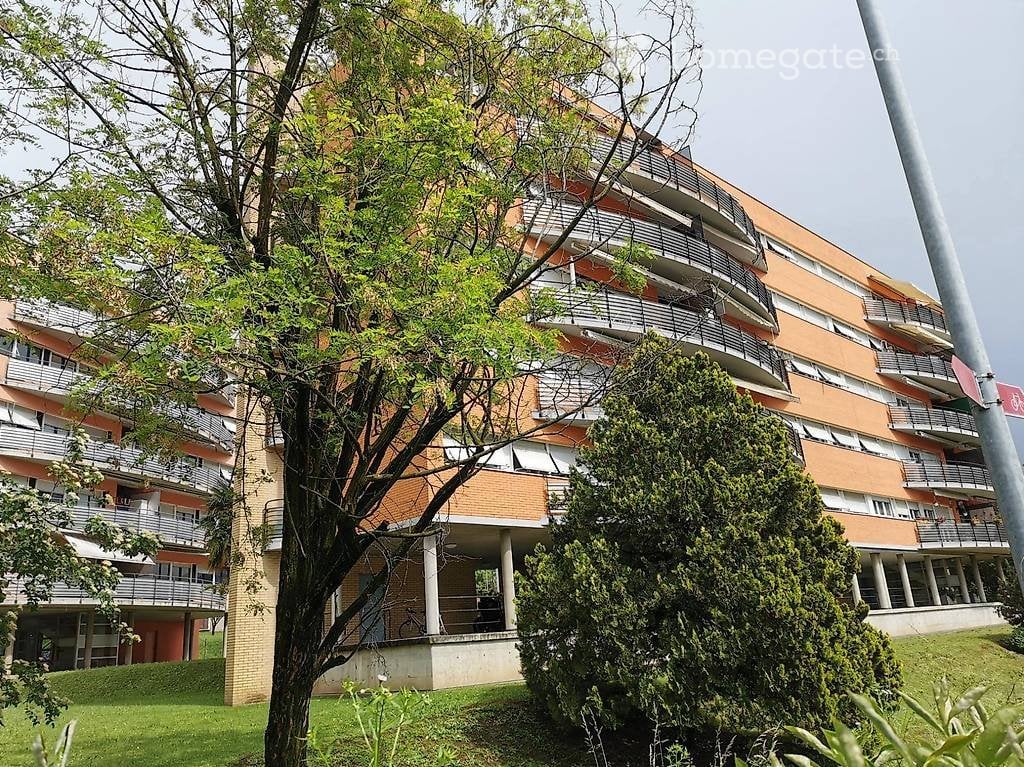 Immobilie in Balerna - Balerna, vendo 5.5 locali, o rent-to-buy - Bild 2