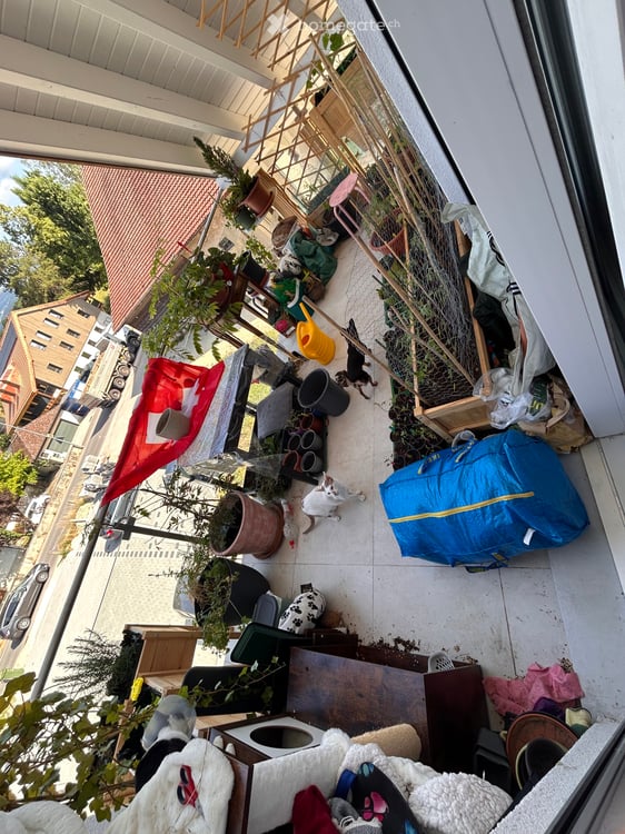 Appartements 3.5 pces avec balcon 5