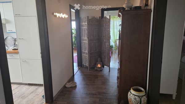 appartement Estavayer-le-Lac vue Lac 4