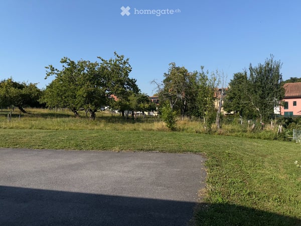 A vendre Morrens Duplex 4.5 pièces, 160m2 3