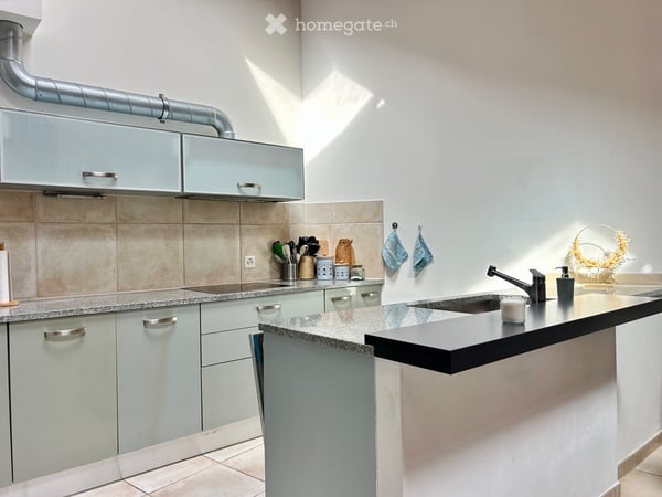 Super duplex 3.5 pièces avec terrasse couverte et cachet 4