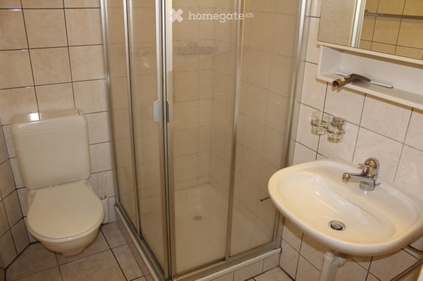 Appartement 4 1/2 pièces dans le Clos-du-Doubs 5