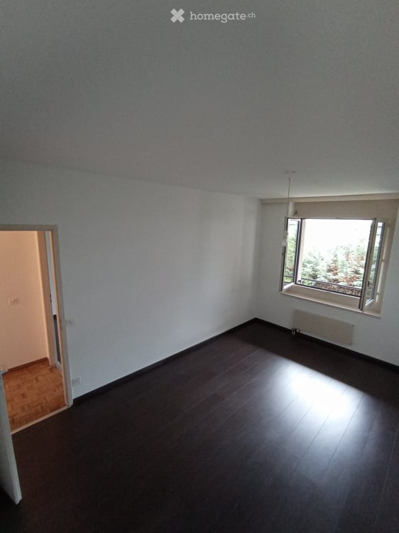 Appartement duplex lumineux de 4 pièces avec jardin à Thônex 3