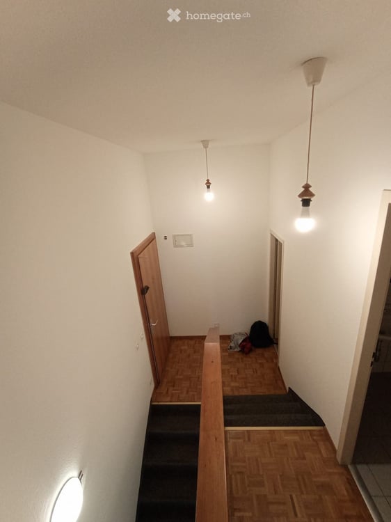 Appartement duplex lumineux de 4 pièces avec jardin à Thônex 4