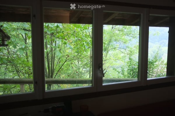 Chalet de weekend Aubonne 4