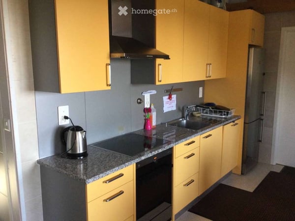 chambre en attique 30m2 colocation 3