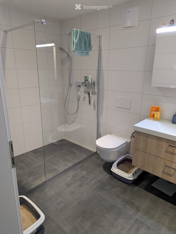 4.5 Zimmerwohnung zu vermieten 3