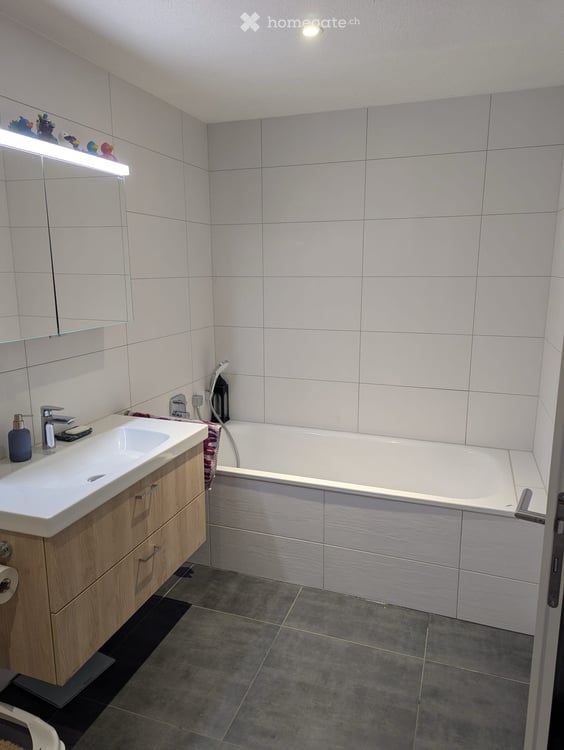 4.5 Zimmerwohnung zu vermieten 2