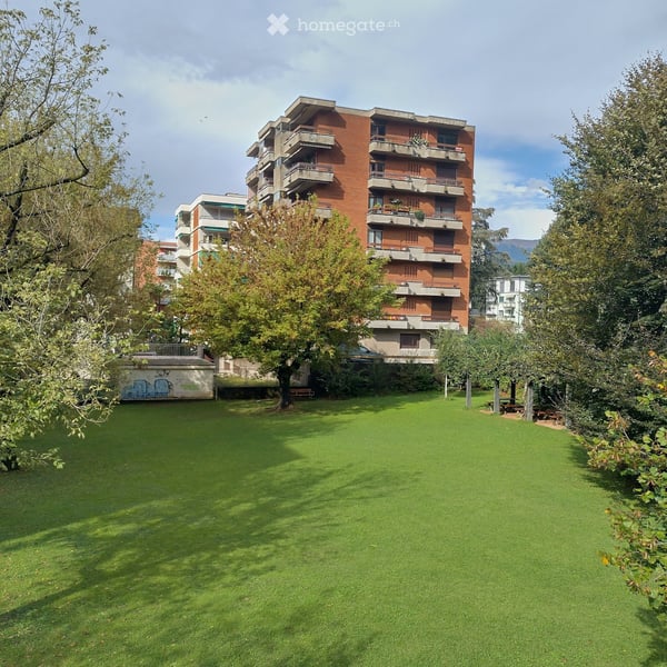 Lugano, affitto 3.5 locali 2