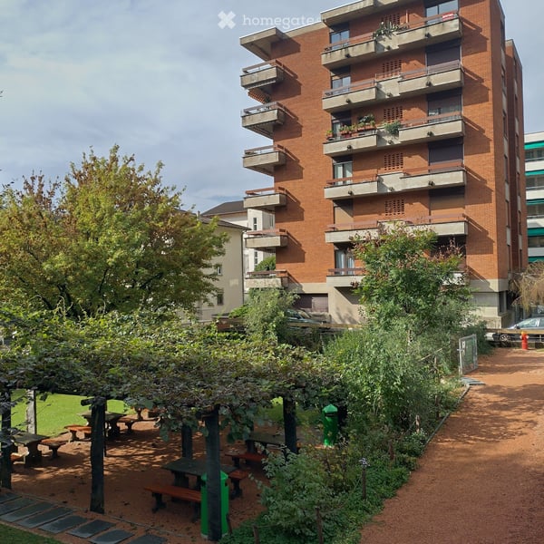 Lugano, affitto 3.5 locali 3