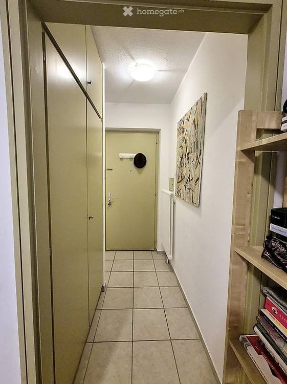 Lugano, affitto monolocale arredato 3
