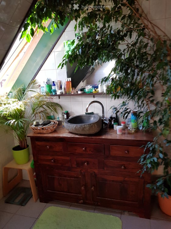 Appartement Duplex + combles 2