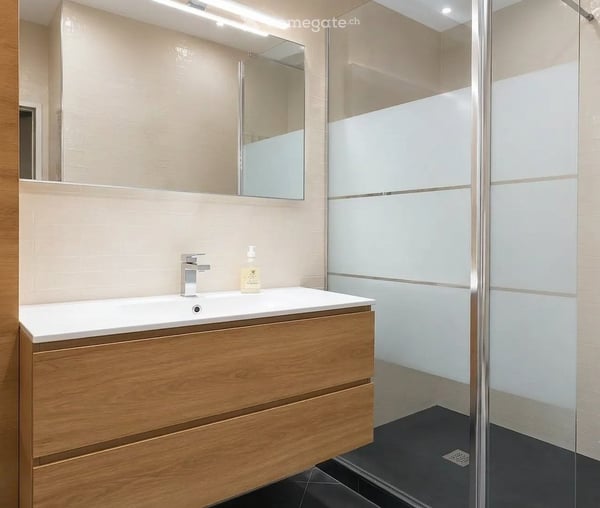 Furnished 2-room apartment for rent 5