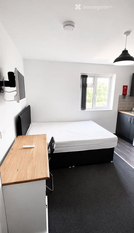 Studio meublé au Quartier Plainpalais 1