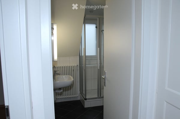 Joli appartement mansardé avec vue, pour le 1er novembre 5