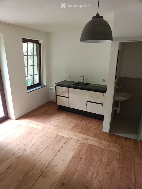 À louer  Appartement 5 pcs avec jardin au cur de Fribourg 4