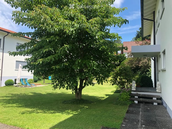 Ruhige 1,5 Zimmer Studio-Wohnung im Grünen, Muri b. Bern 5