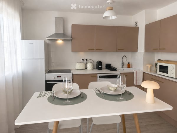 Appartement T2 meublé rénové Proche Genève Parking 3