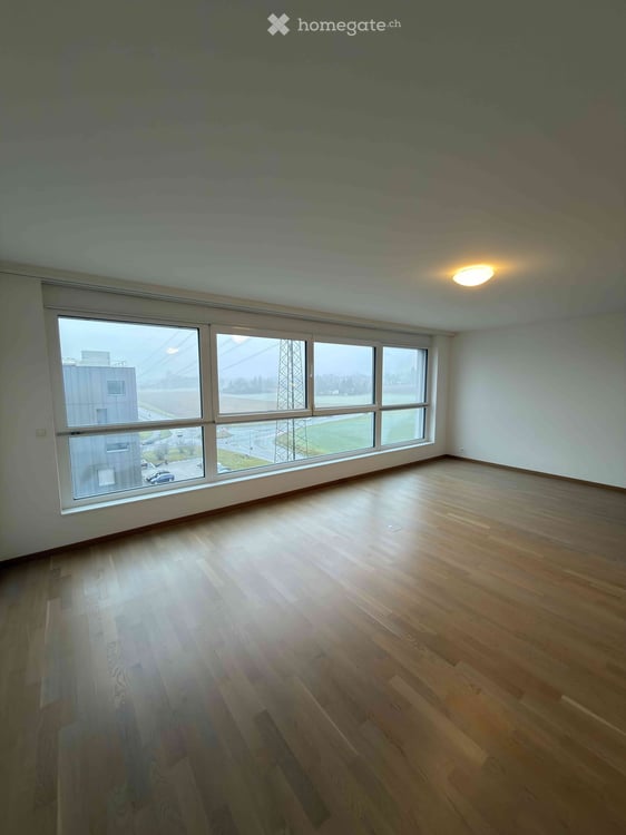 Magnifique appartement à Nyon 3