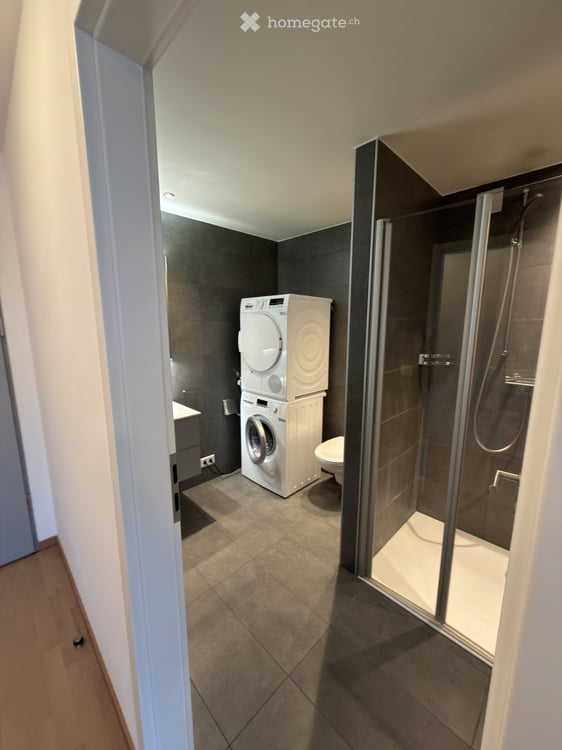 Magnifique appartement à Nyon 5