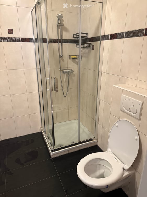Appartement 4,5 pces en location 3