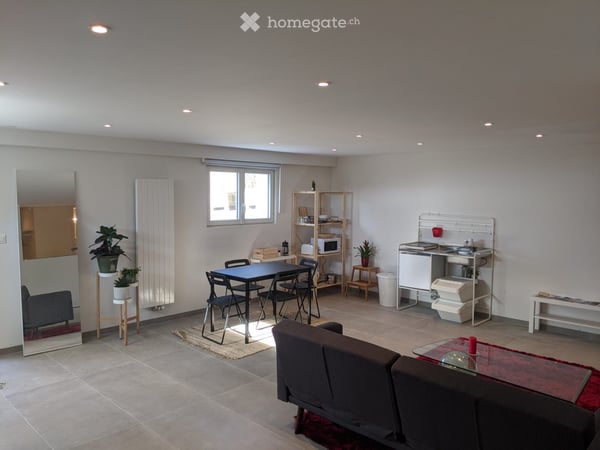 Studio avec terrasse et piscine  15 min de Lausanne 4