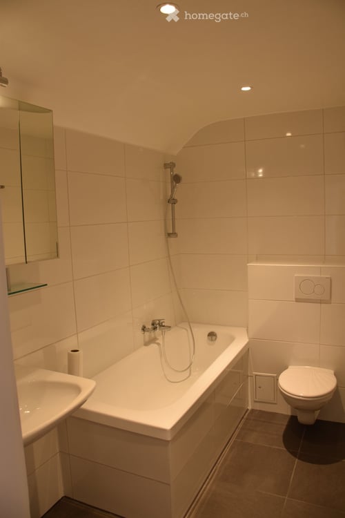 Grand 3,5 pièces de 135 m2 avec jardin 3